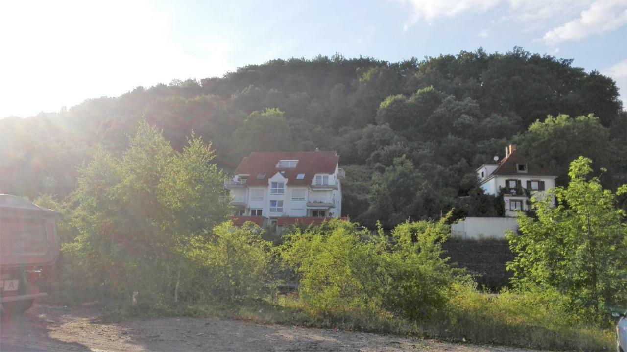 Ferienwohnung Anita Annweiler am Trifels Exterior foto